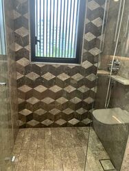Leedon Green (D10), Condominium #635048711